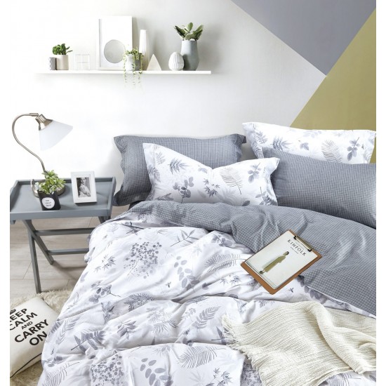 DEDRA – ΣΕΤ ΣΕΝΤΟΝΙΑ STATUS