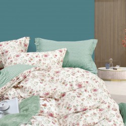 MOLLY – ΣΕΤ ΠΑΠΛΩΜΑΤΟΘΗΚΗ SPIRIT